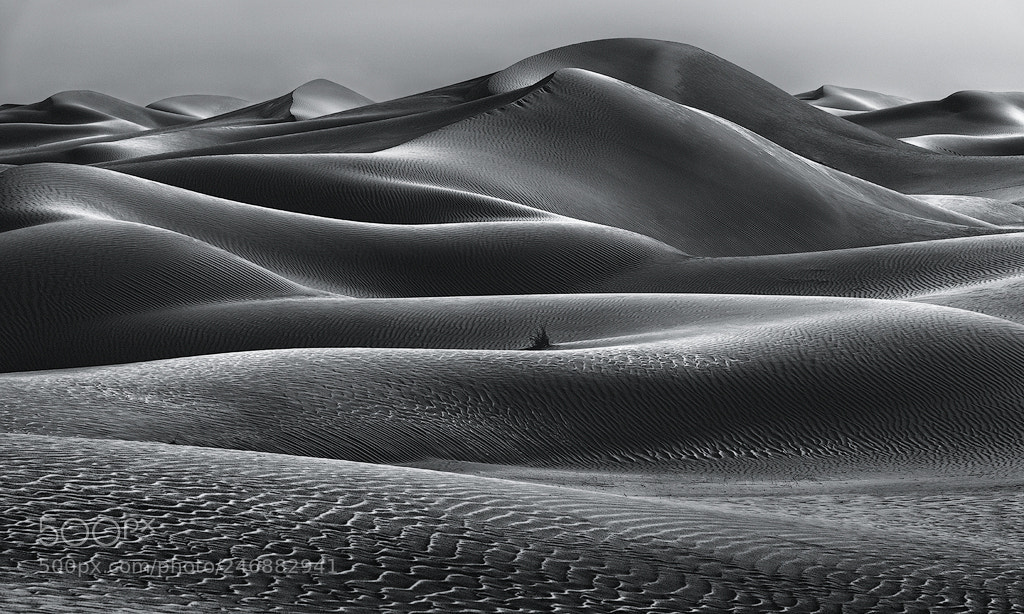Nikon D800 sample photo. Black pearl photography