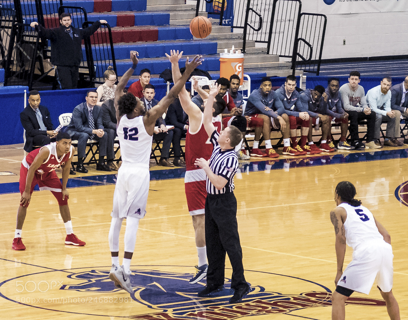Nikon D850 sample photo. Beginning of college basketball photography