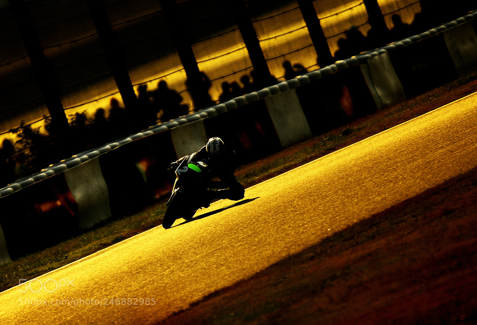 Canon EOS-1D X sample photo. Brw photography