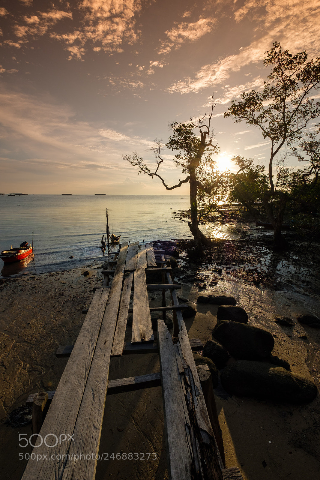 Fujifilm X-T2 sample photo. _aab1364.jpg photography