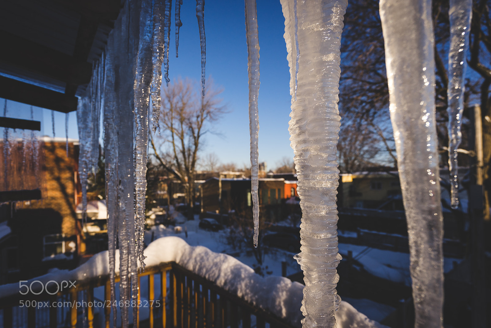 Sony a7 II sample photo. L'hiver en sueurs photography