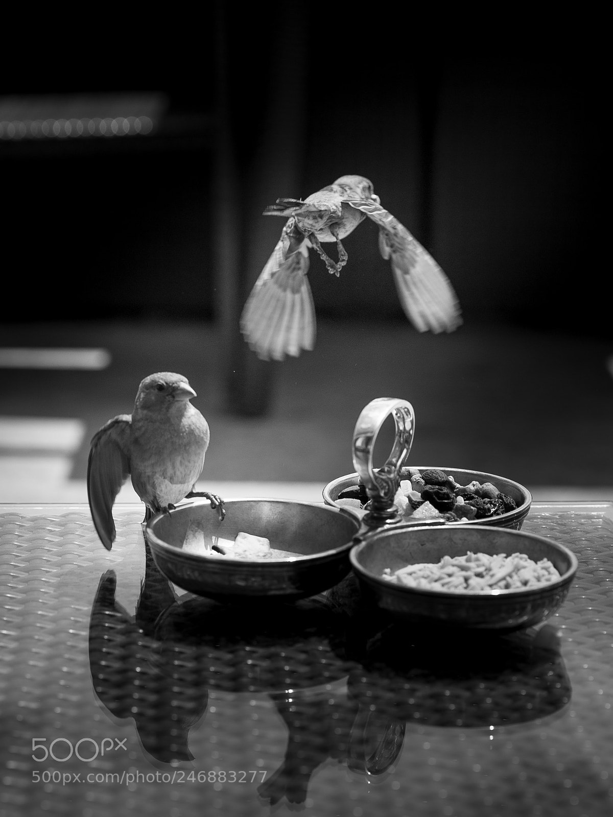 Nikon D3S sample photo. Little thiefs photography