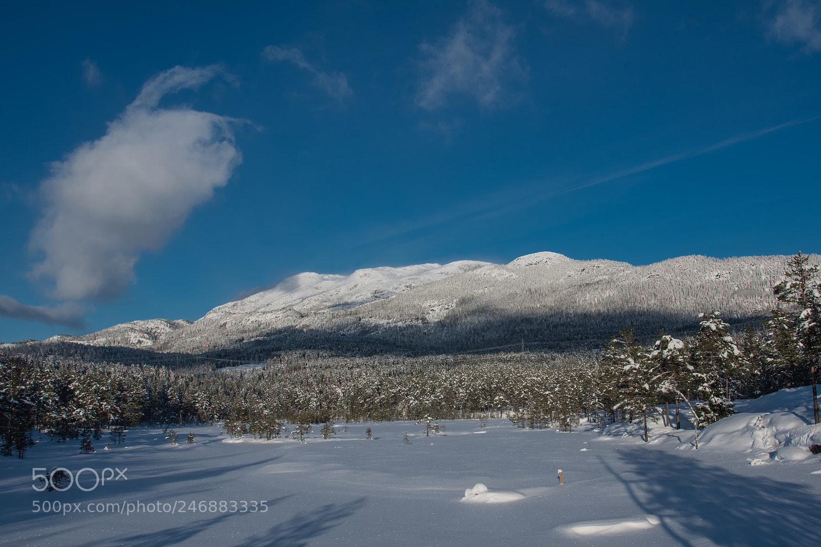 Nikon D500 sample photo. Vinter mountain photography