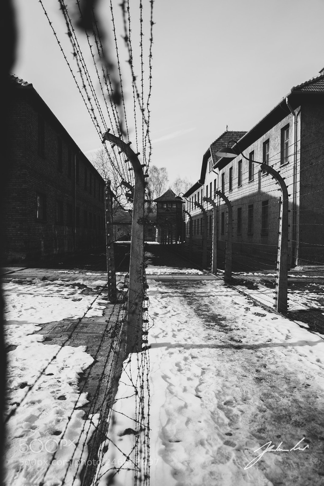 Sony a7 sample photo. Perimeter fence. auschwitz concentration photography