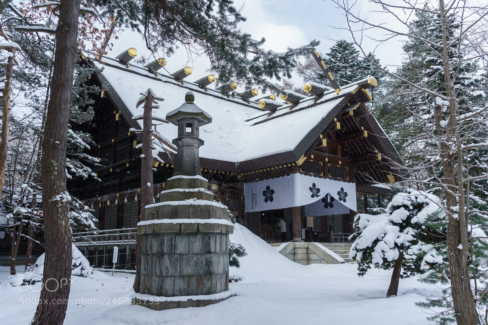 Sony a7 II sample photo. Temple lost in the photography