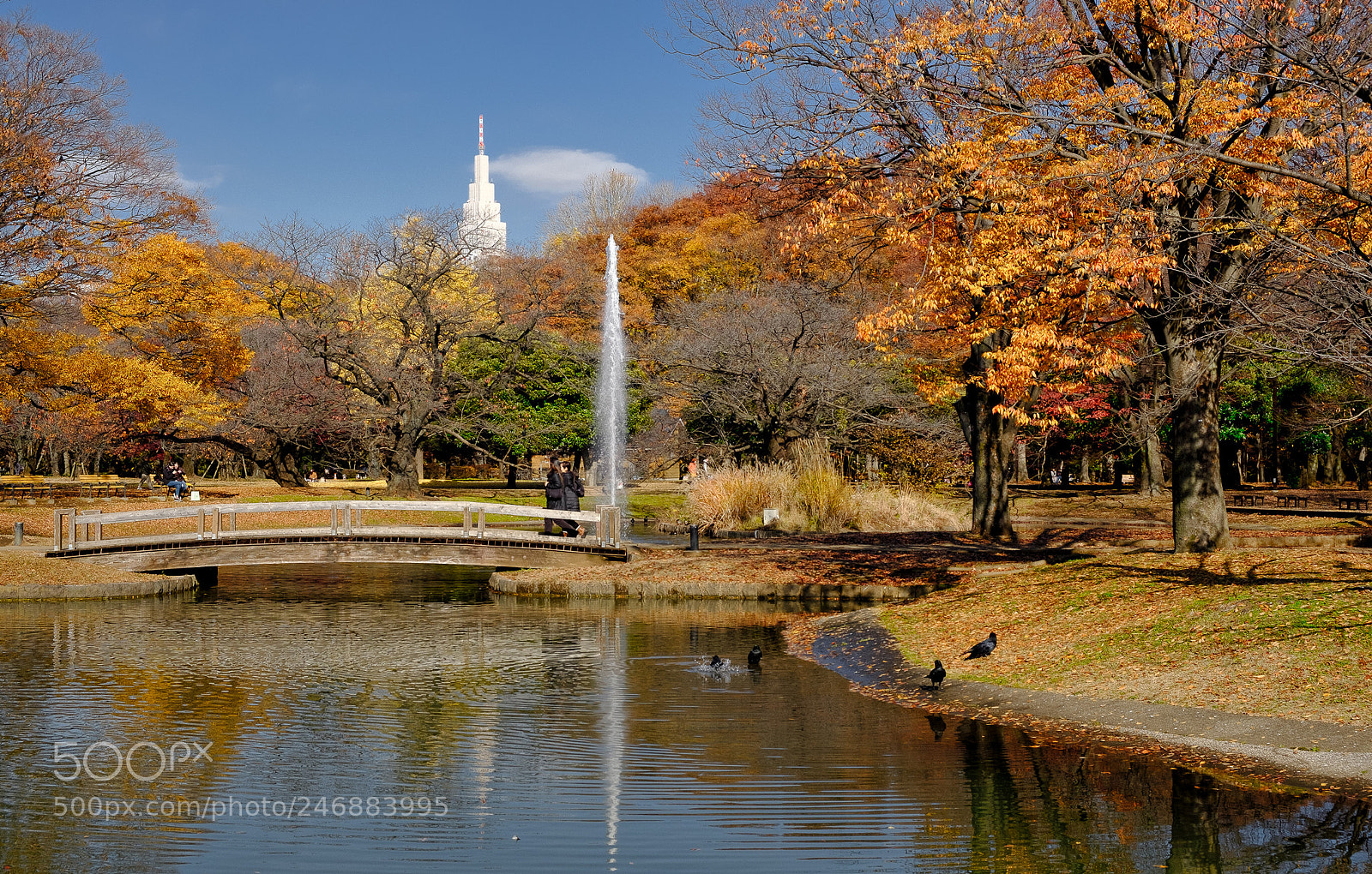 Fujifilm X-T2 sample photo. 02122017-albe5259-modifica-modifica.jpg photography