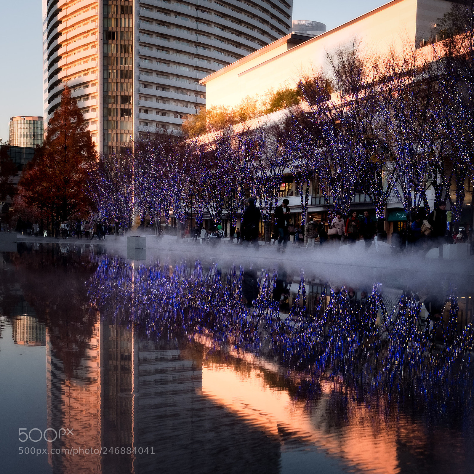 Fujifilm X-T2 sample photo. 09122017-albe5464-modifica.jpg photography