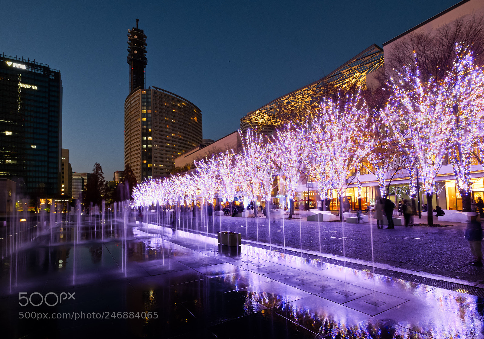 Fujifilm X-T2 sample photo. 09122017-albe5492-modifica.jpg photography