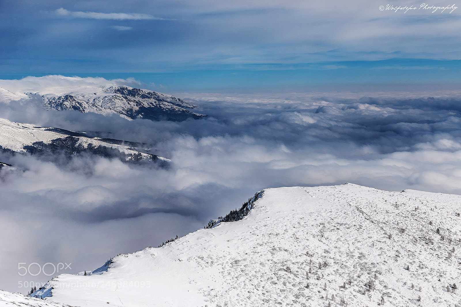 Nikon D610 sample photo. Sea of clouds photography