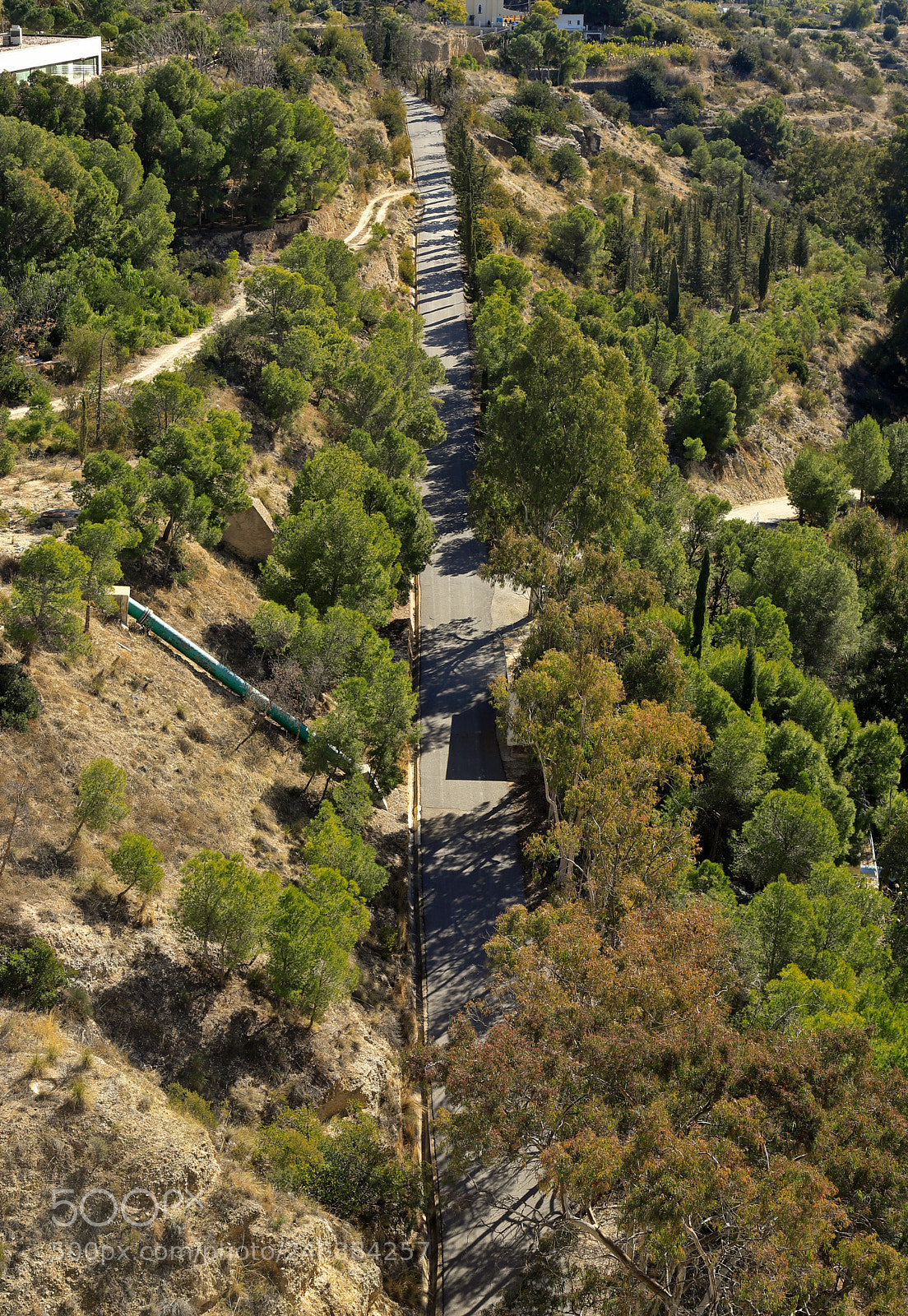 Canon EOS 6D Mark II sample photo. The road photography