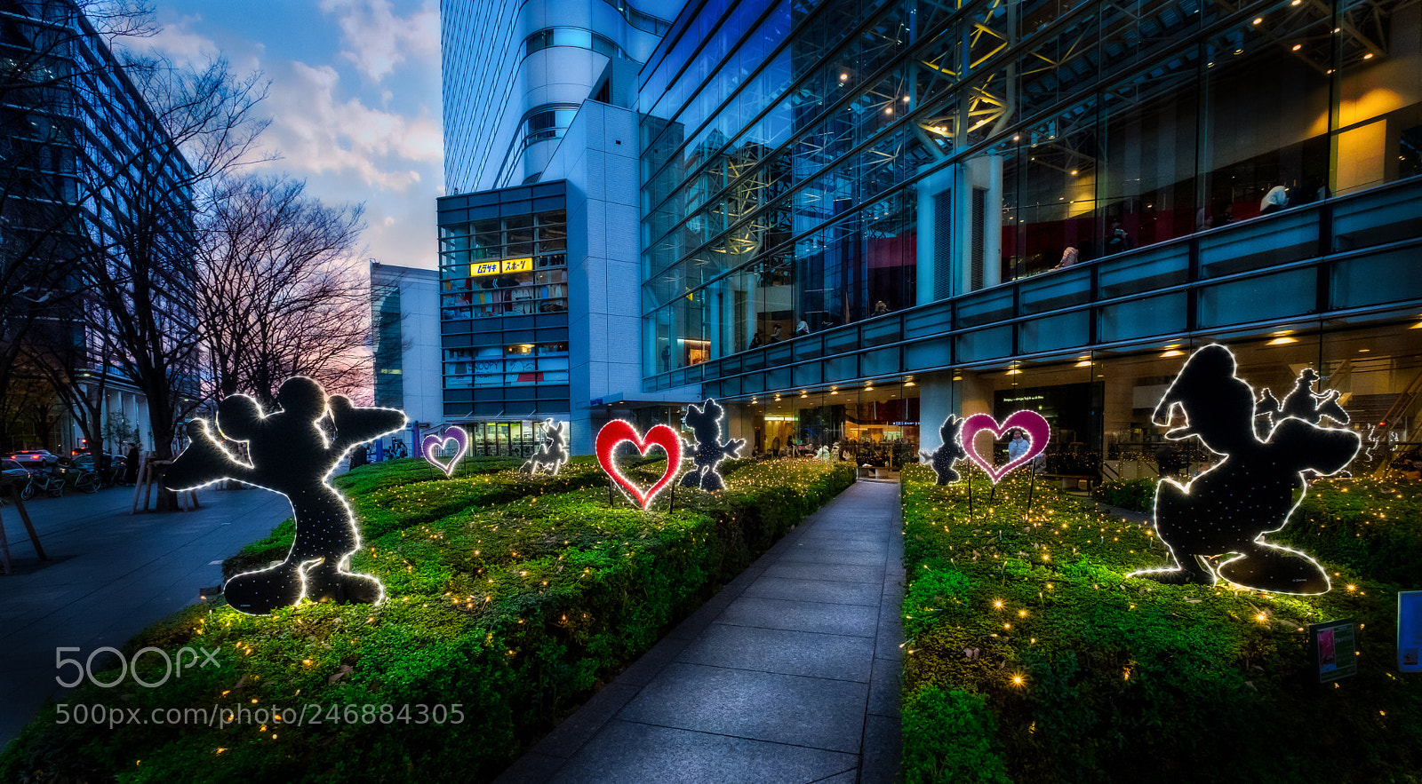 Fujifilm X-T2 sample photo. 17122017-albe5721-modifica.jpg photography