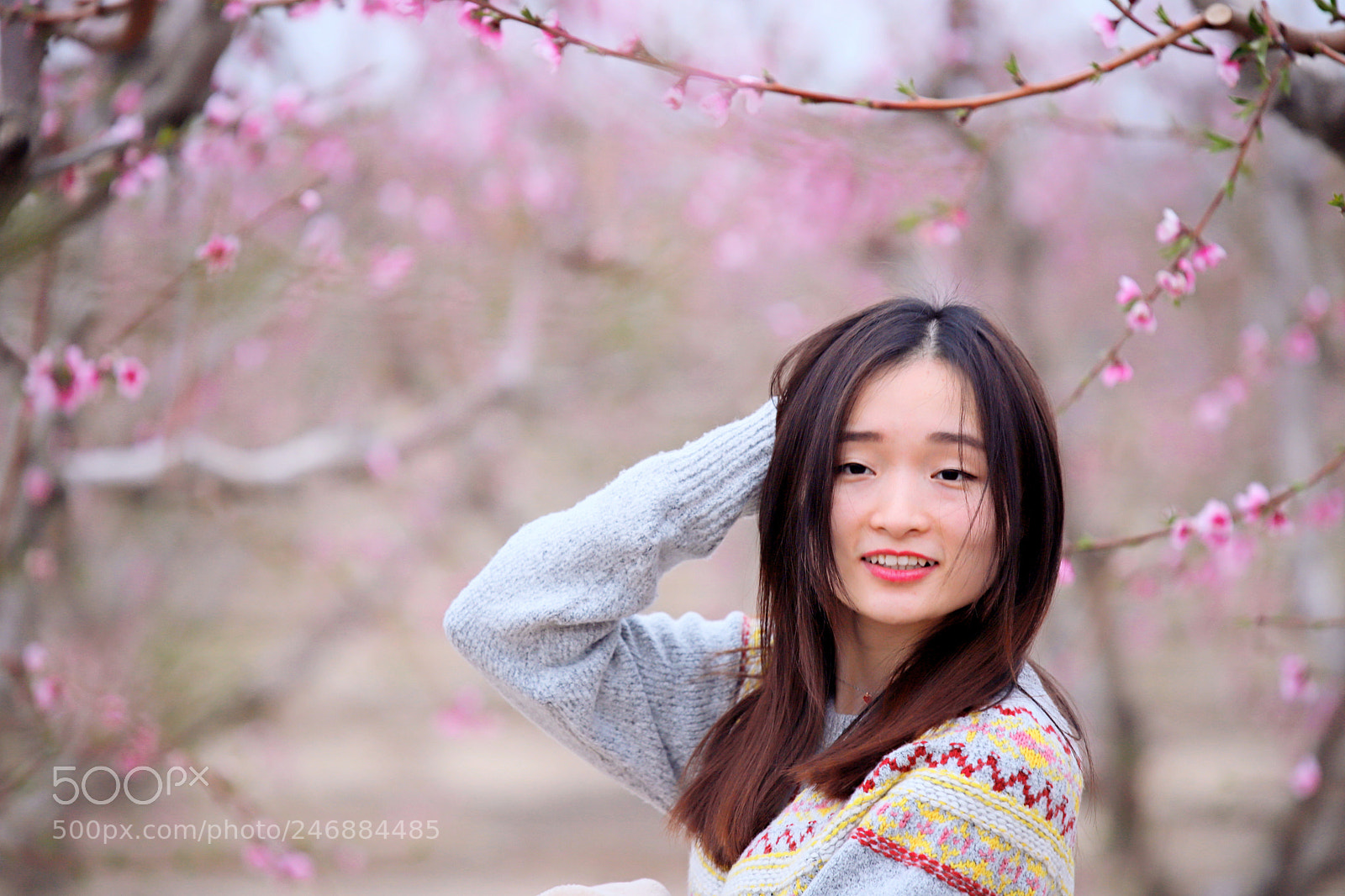 Canon EOS 6D Mark II sample photo. Almendro diario photography