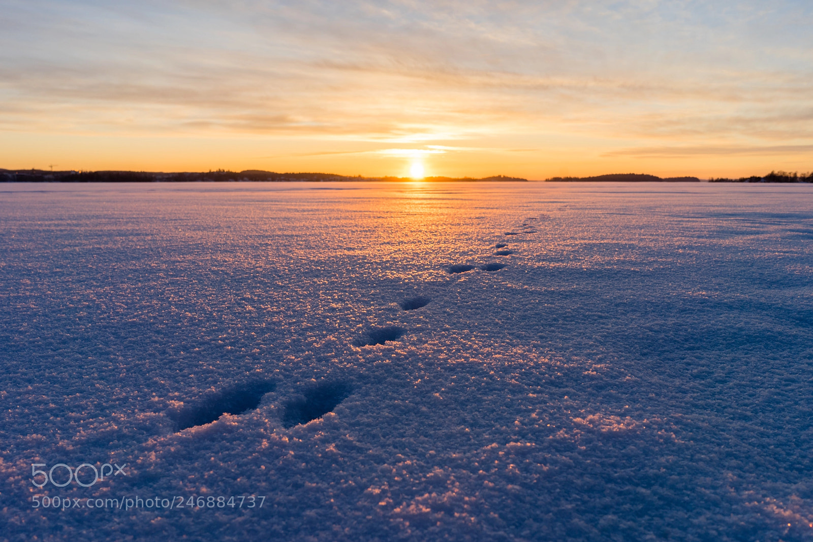 Sony a7 sample photo. Sunset 20022018_4 photography