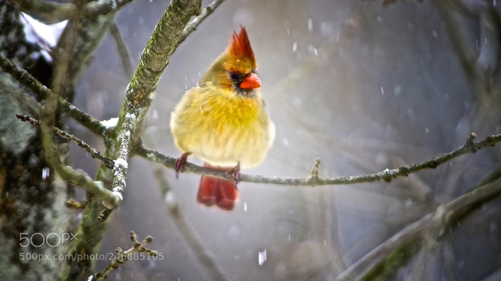 Pentax K-1 sample photo. Waiting out the weather photography