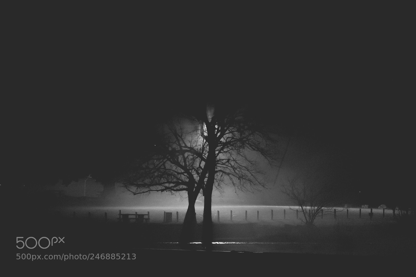 Sony a7 sample photo. A foggy night at photography