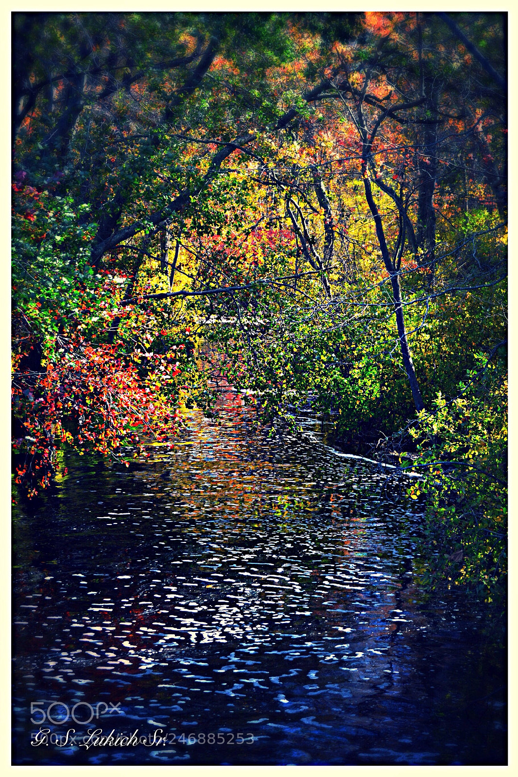 Nikon D5200 sample photo. Down the lazy stream photography