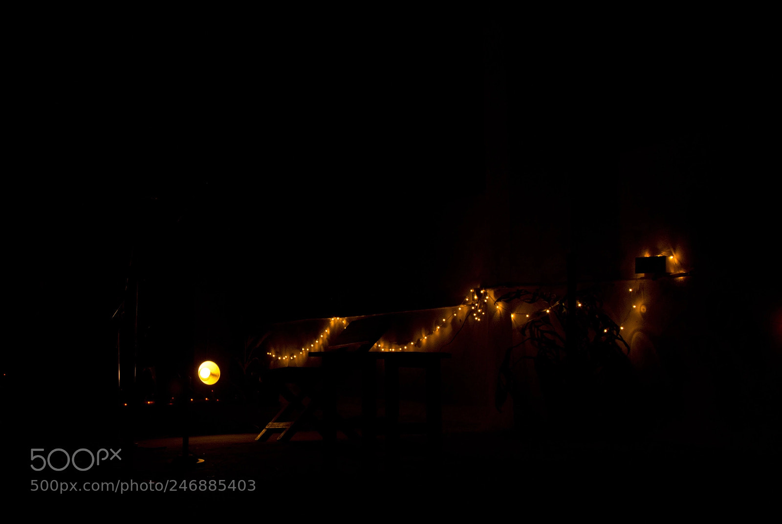 Nikon D7200 sample photo. Untitled photography