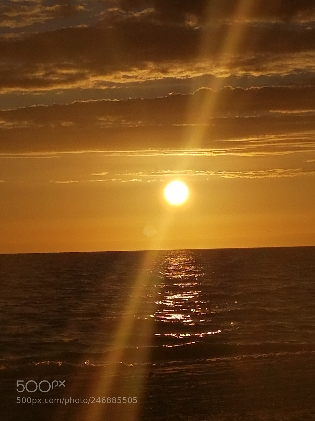 Samsung Galaxy S8+ sample photo. Untitled photography