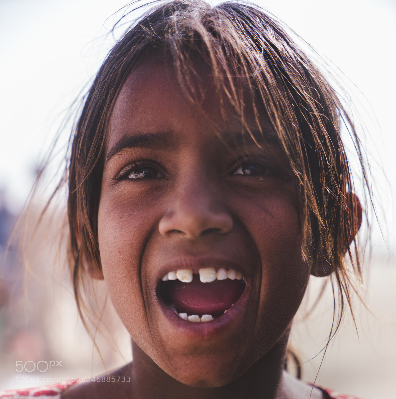 Sony a7R II sample photo. Desert life photography