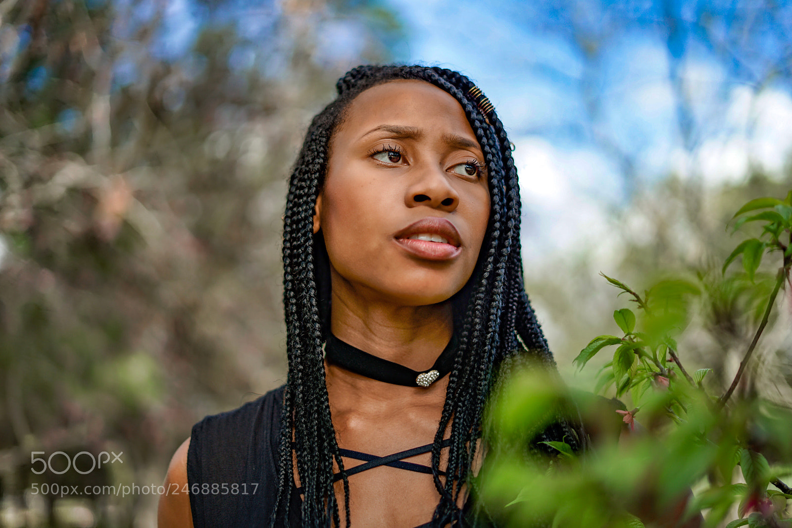 Sony a7 II sample photo. Search photography