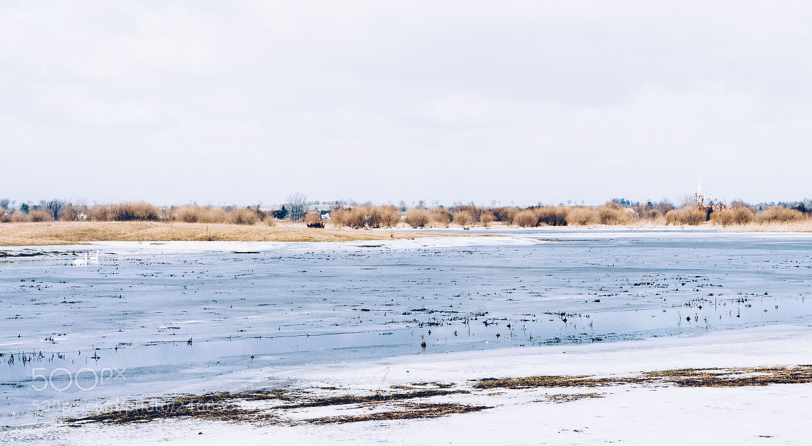 Sony a7R II sample photo. Wild river bug after photography