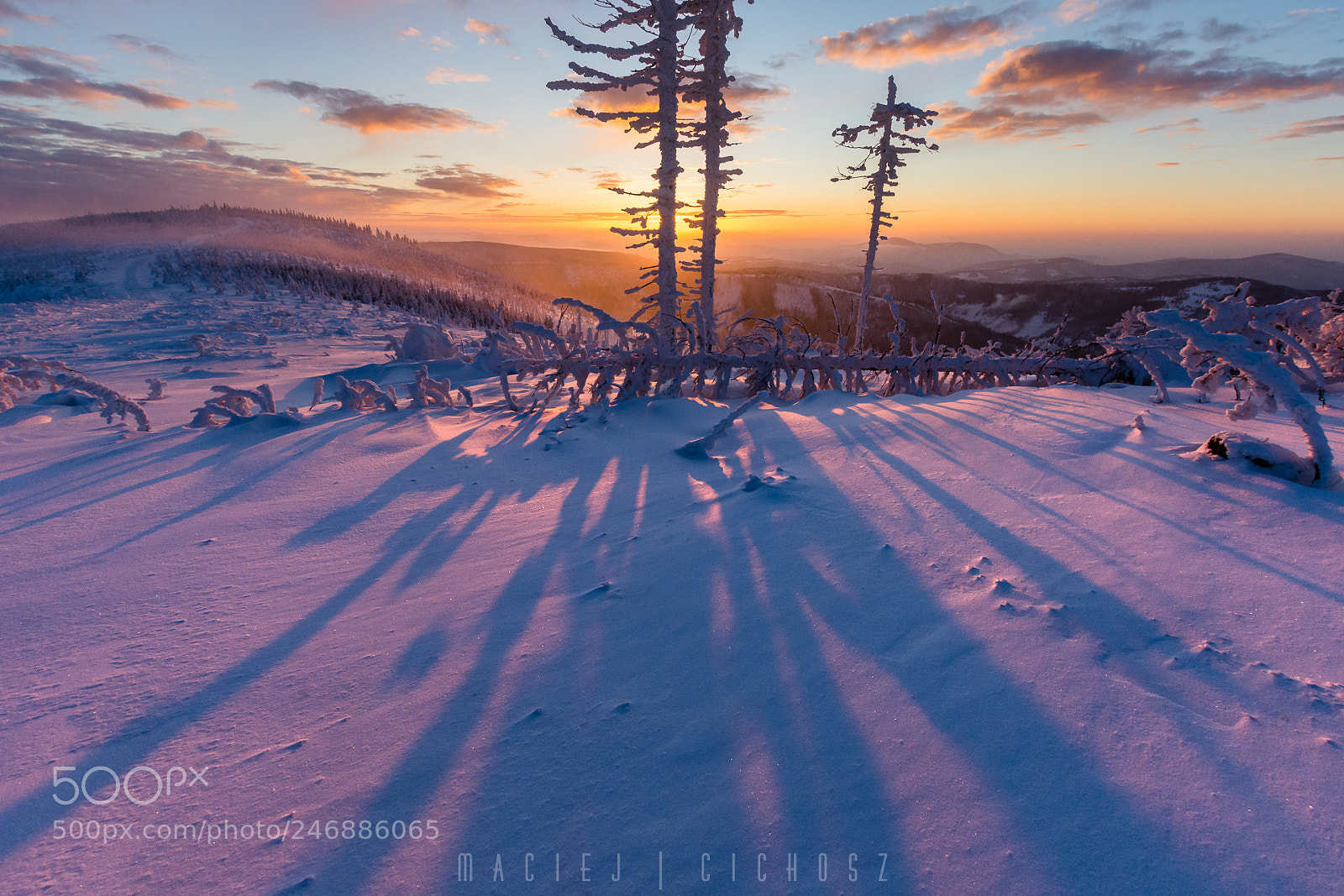Nikon D7200 sample photo. Sunset shadows photography