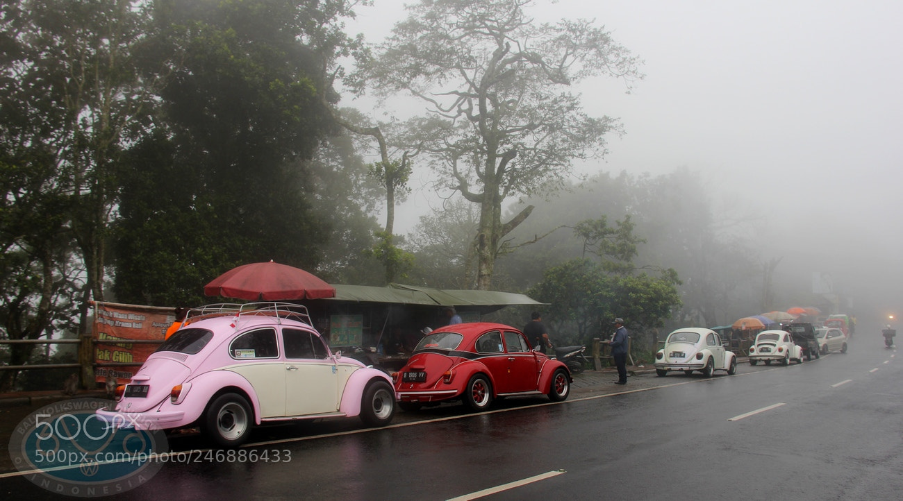 Canon EF-S 18-200mm F3.5-5.6 IS sample photo. Bedugul photography