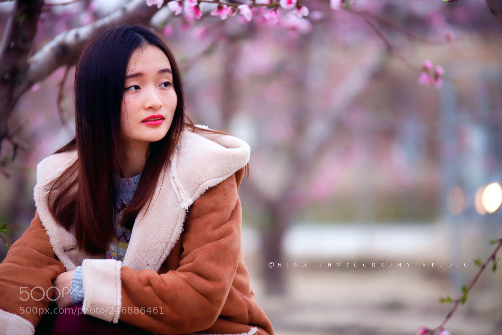 Canon EOS 6D Mark II sample photo. 桃花源④ photography