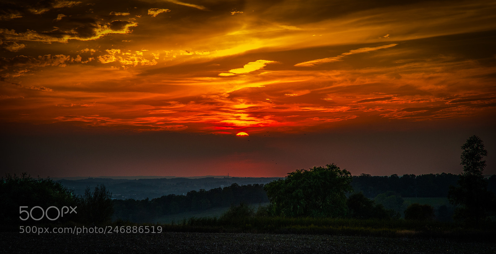 Nikon D500 sample photo. Sunset photography