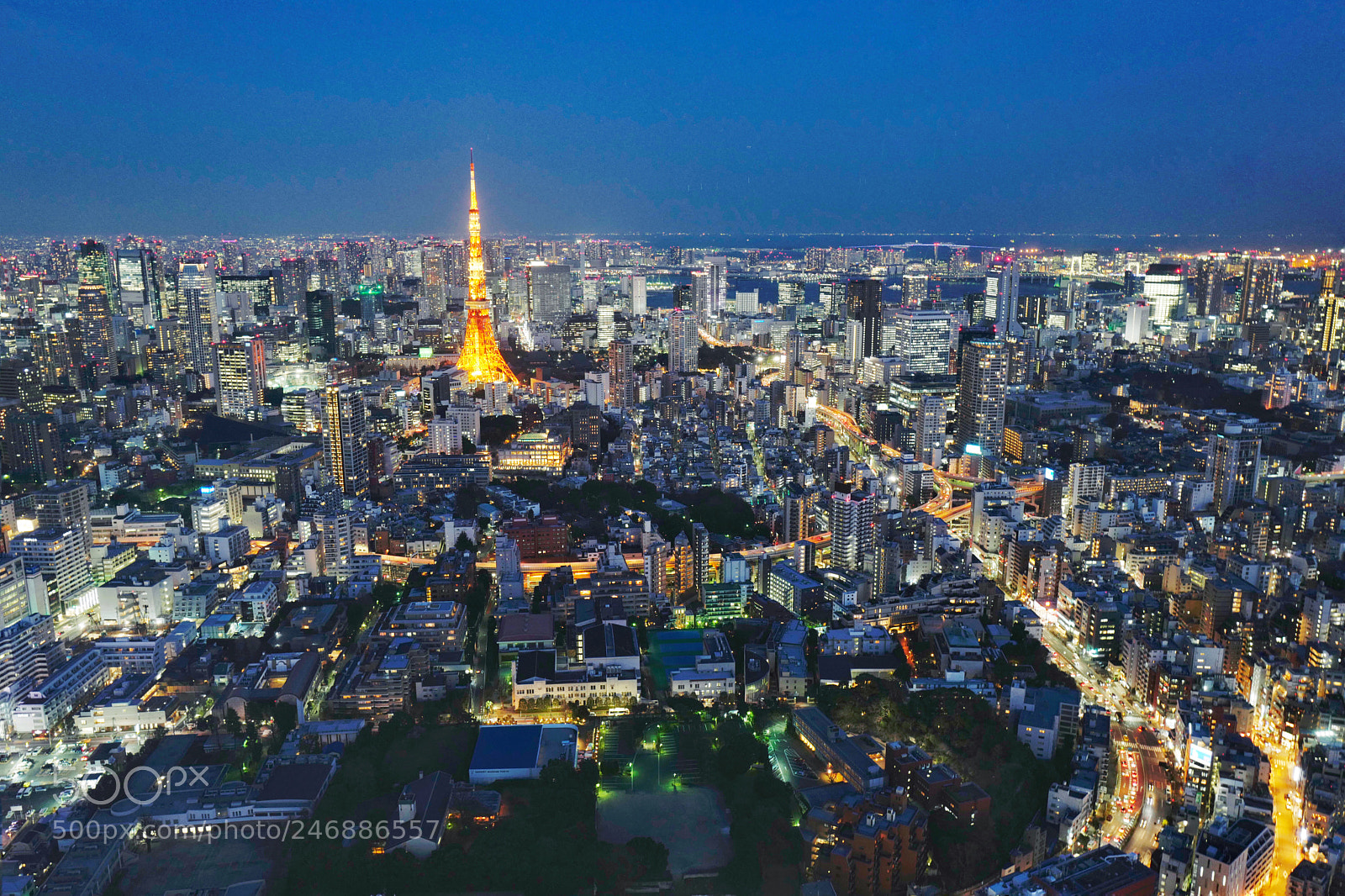 Leica Q (Typ 116) sample photo. Tokyo city view photography