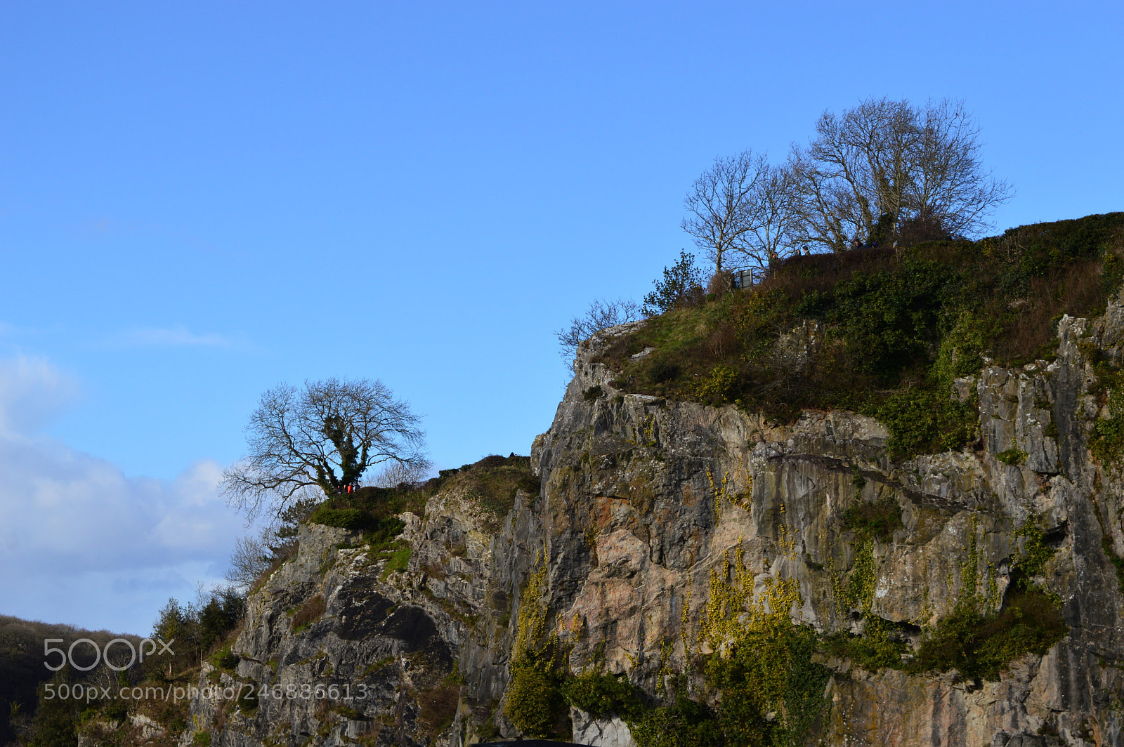 Nikon D3200 sample photo. Untitled photography