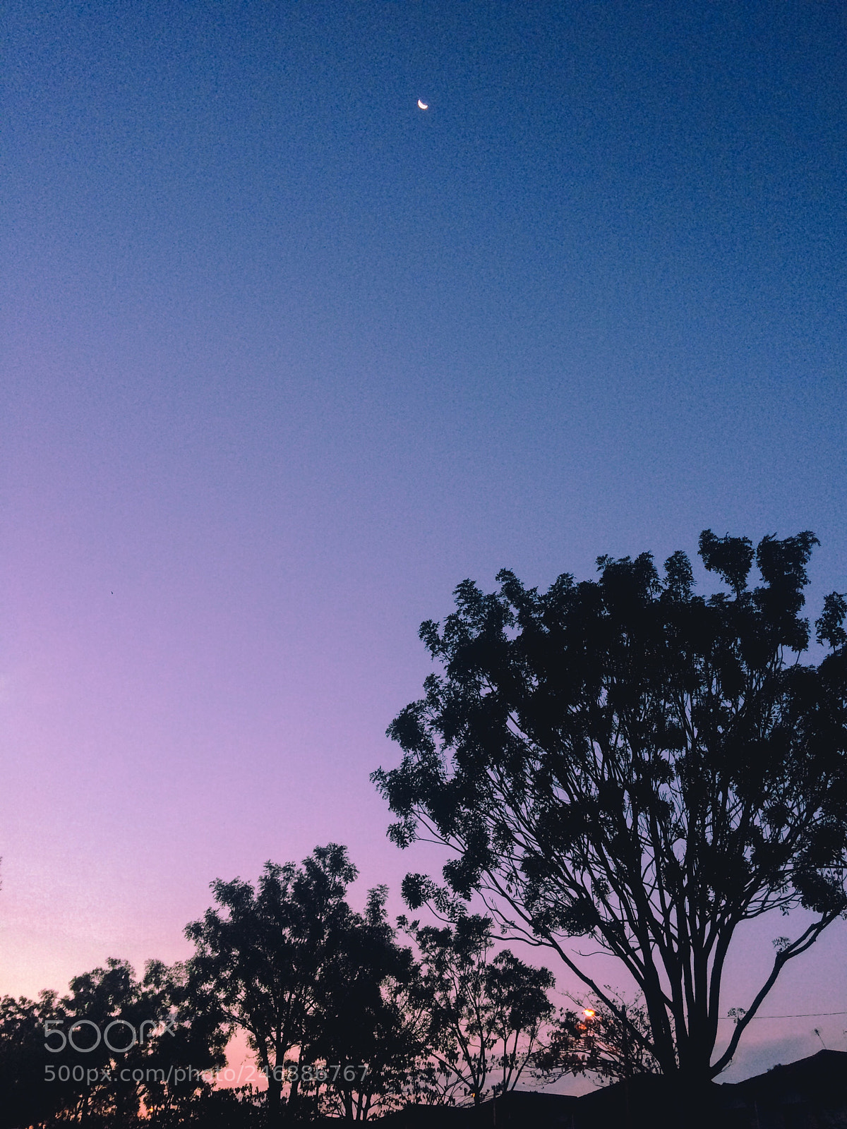 Apple iPhone 5s sample photo. Just do love your photography