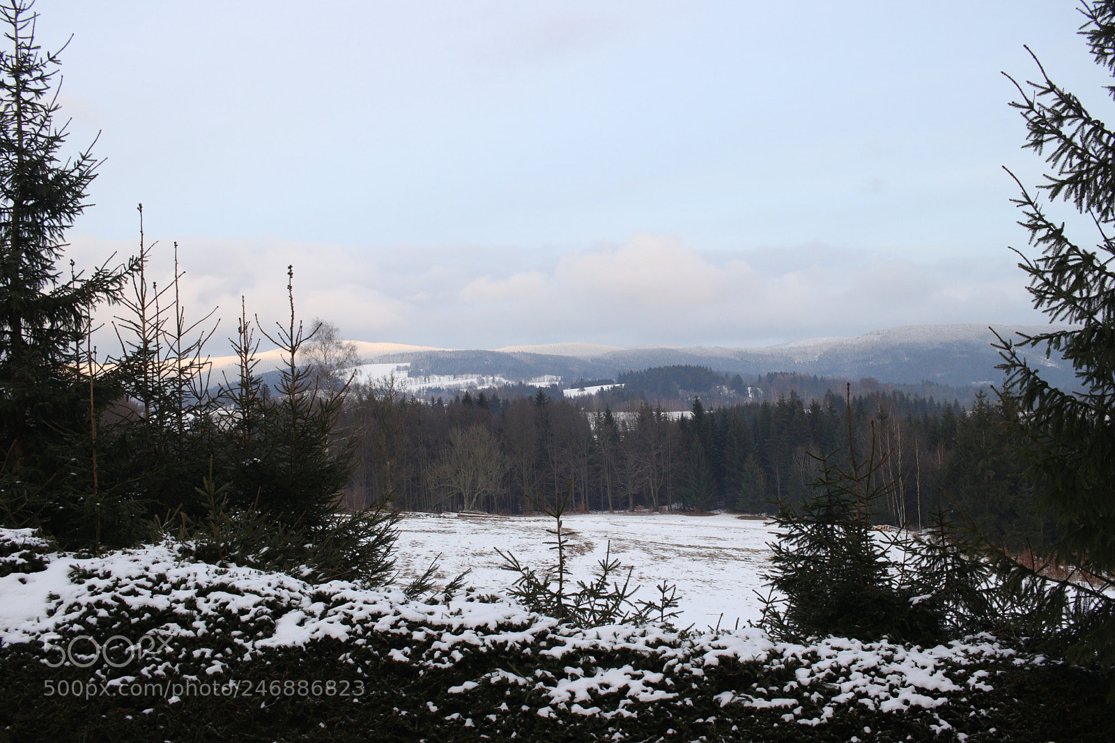 Canon EOS 77D (EOS 9000D / EOS 770D) sample photo. Untitled photography