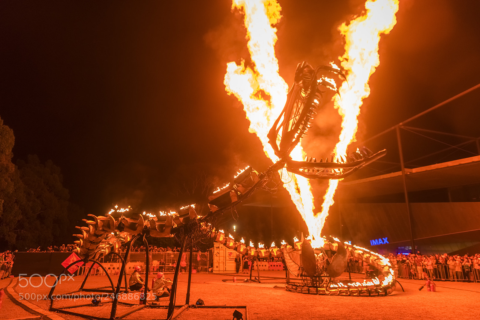 Nikon D810 sample photo. The serpent mother photography