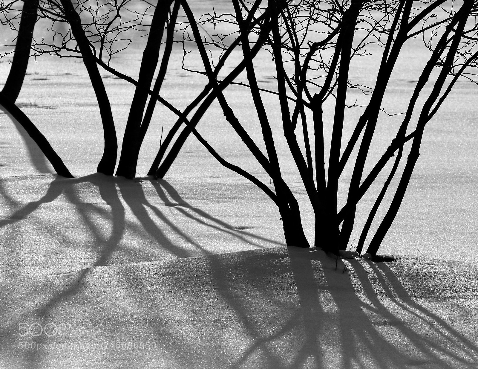 Canon EOS 7D Mark II sample photo. Morning  light photography