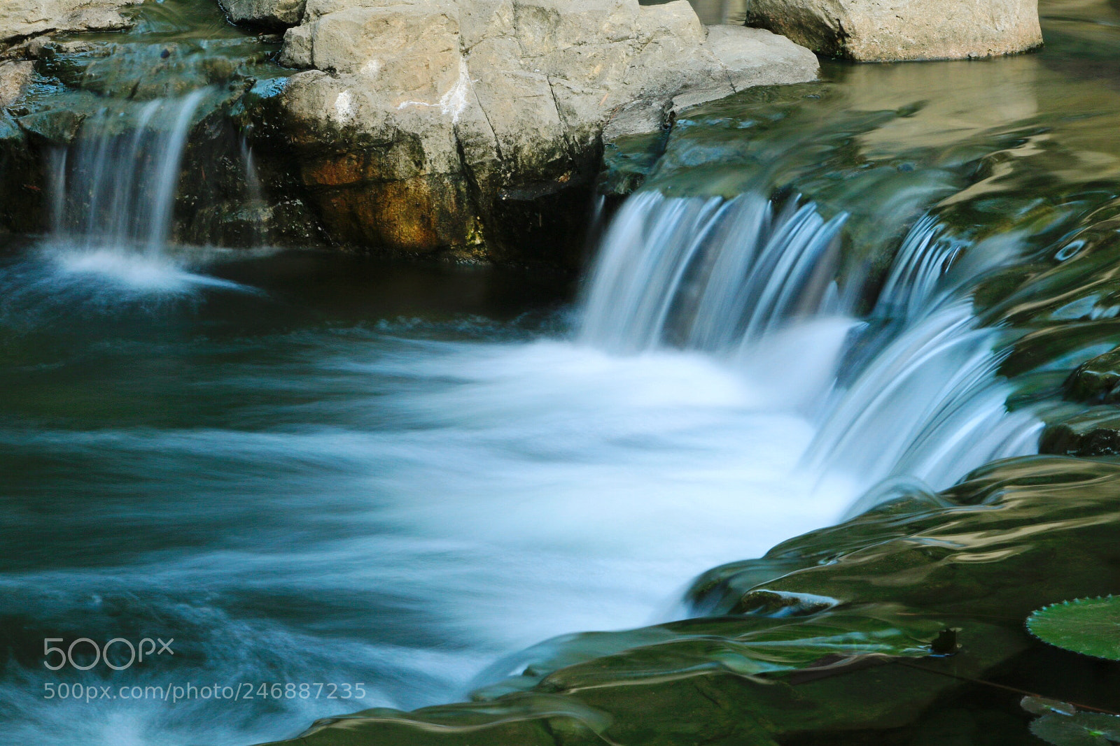 Canon EOS 7D Mark II sample photo. Untitled photography