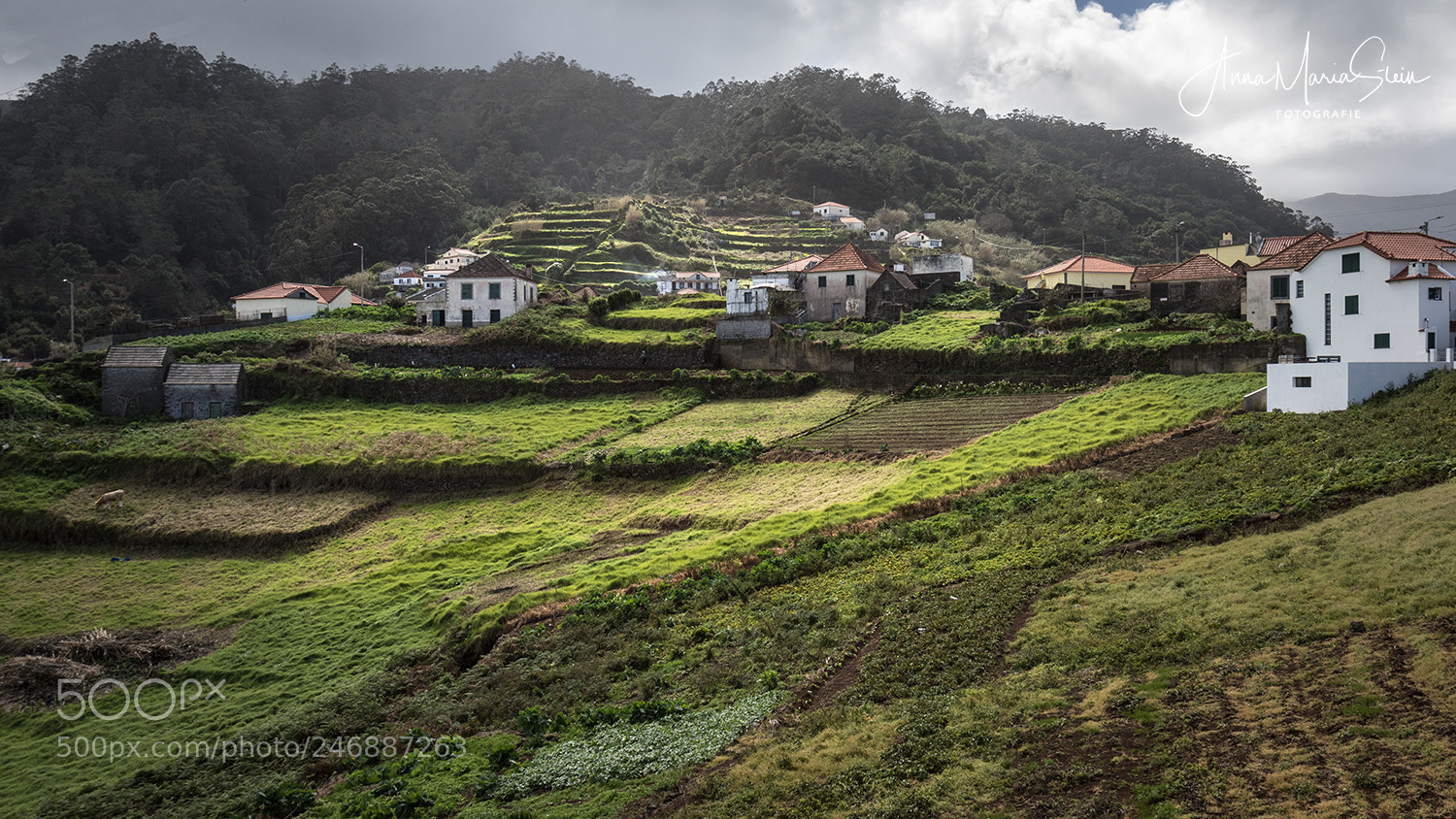 Canon EOS 7D Mark II sample photo. Bergdorf auf madeira photography