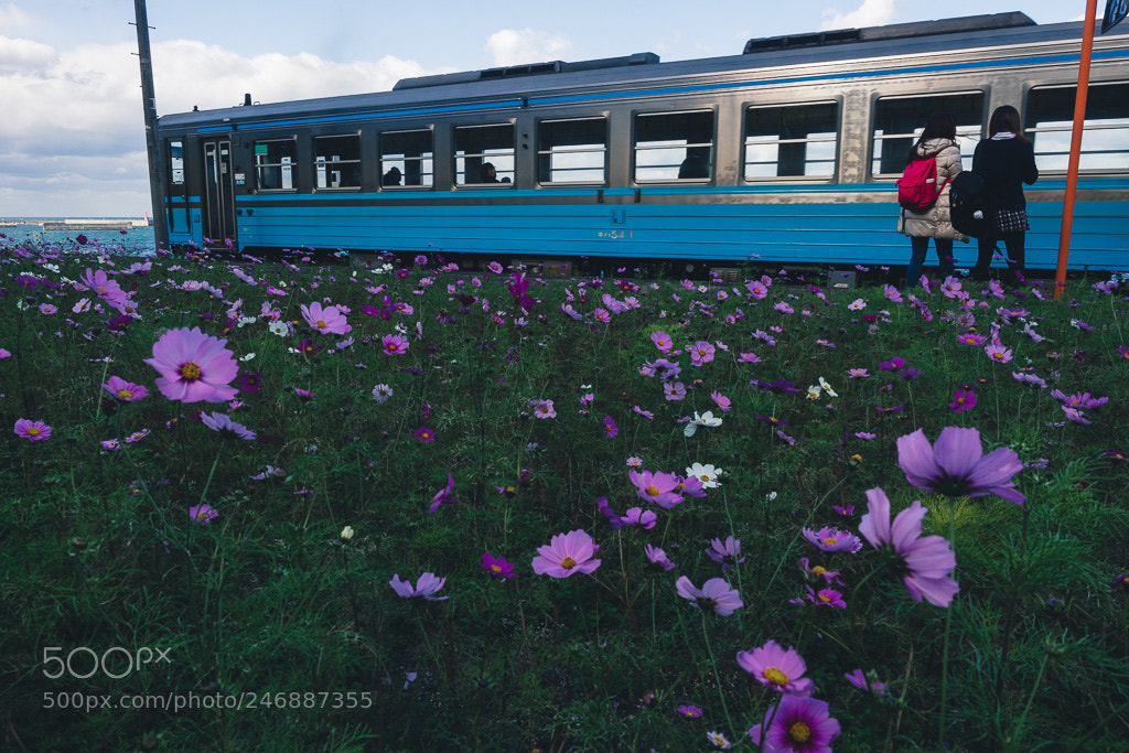 Olympus OM-D E-M5 II sample photo. Untitled photography