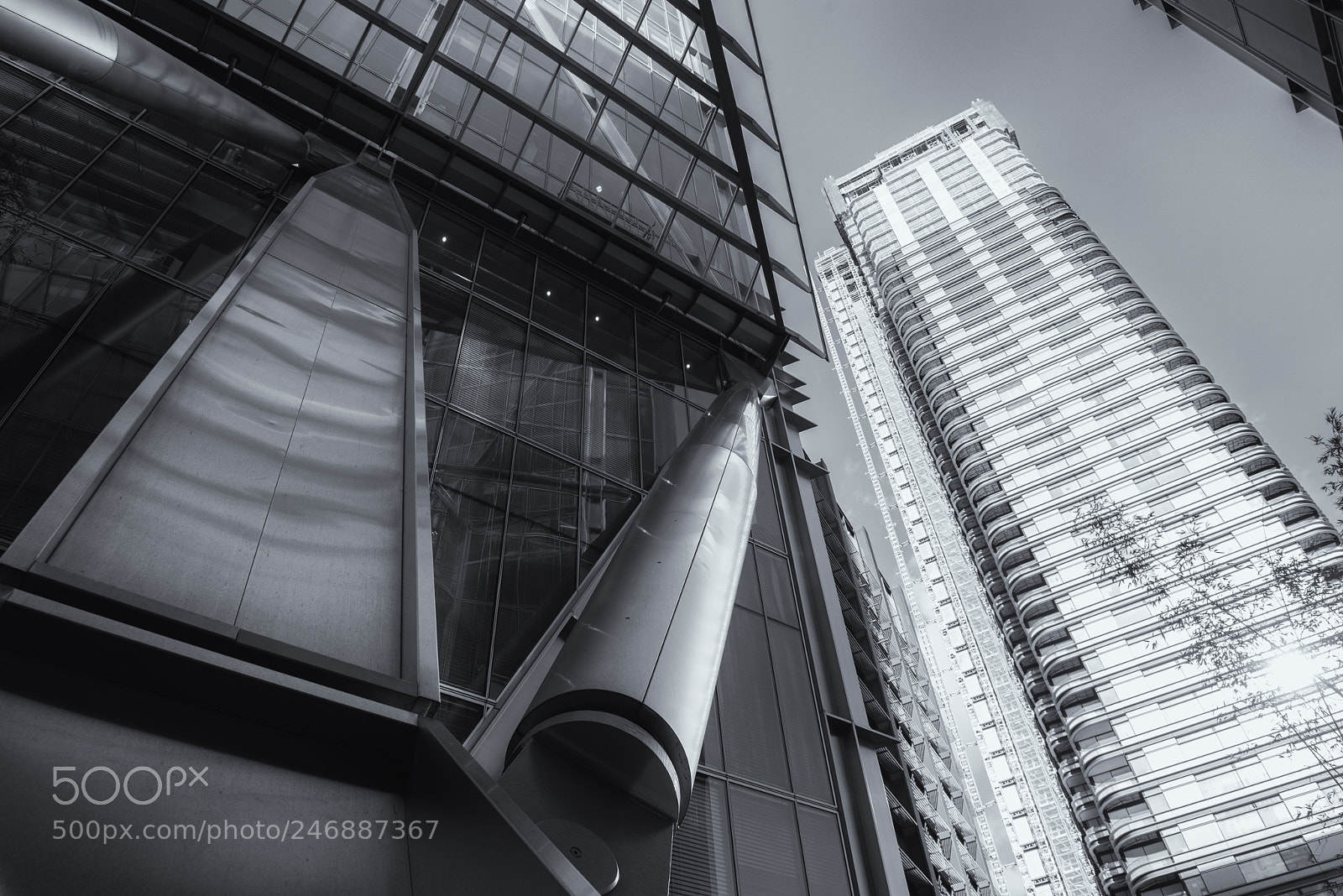 Nikon D810 sample photo. The strut photography