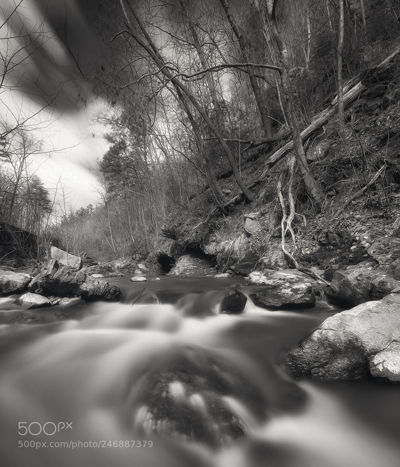 Sony a7R II sample photo. Chelsea creek photography