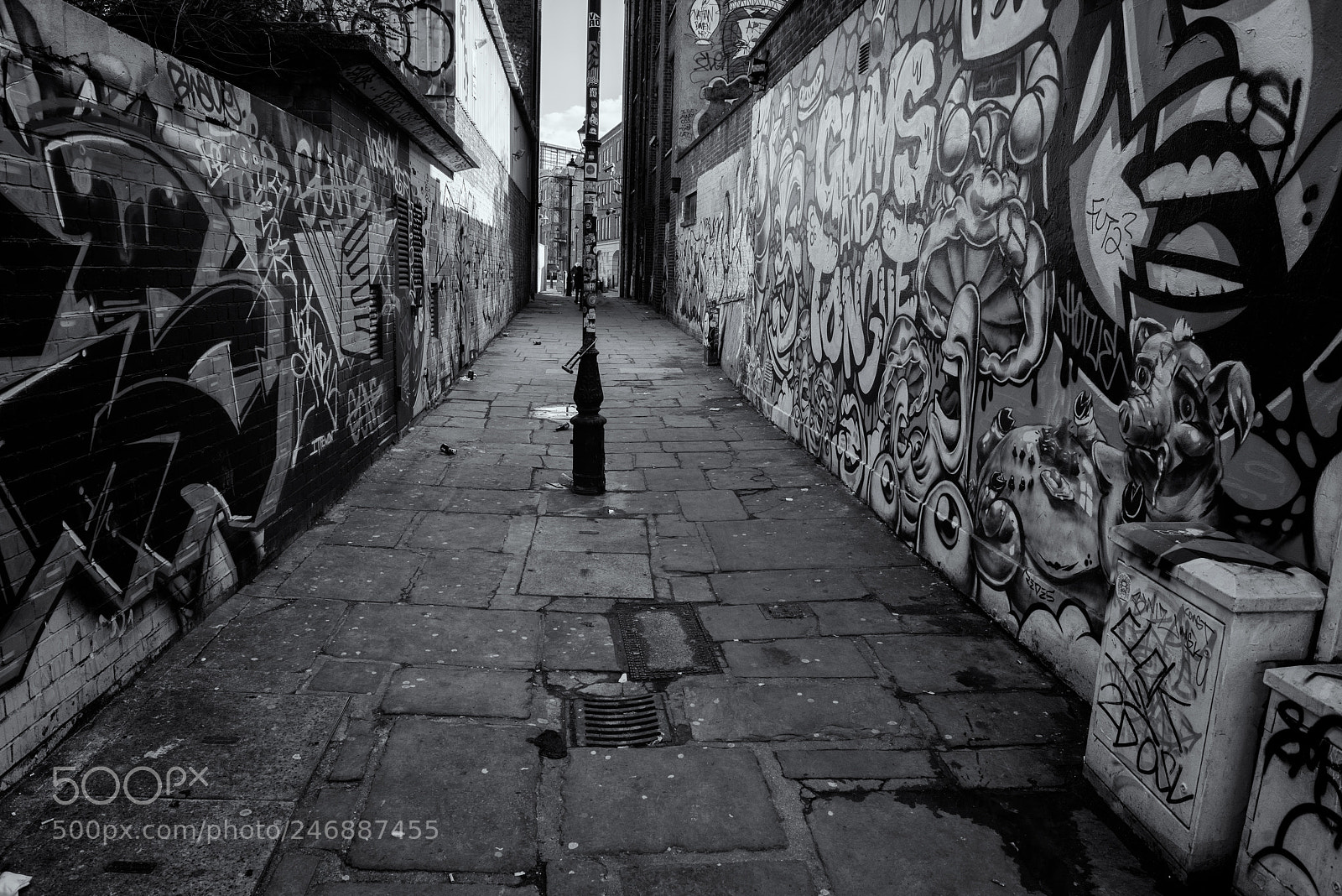 Nikon D810 sample photo. Gum alley photography