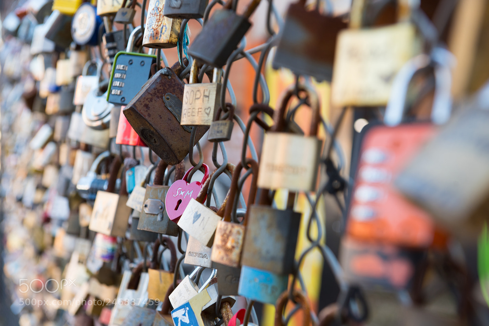 Nikon D810 sample photo. Love locks photography