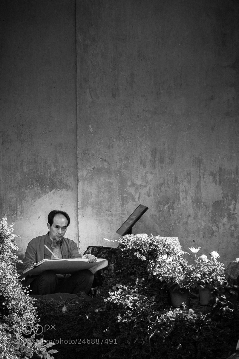 Fujifilm X-T1 sample photo. The garden painter. photography