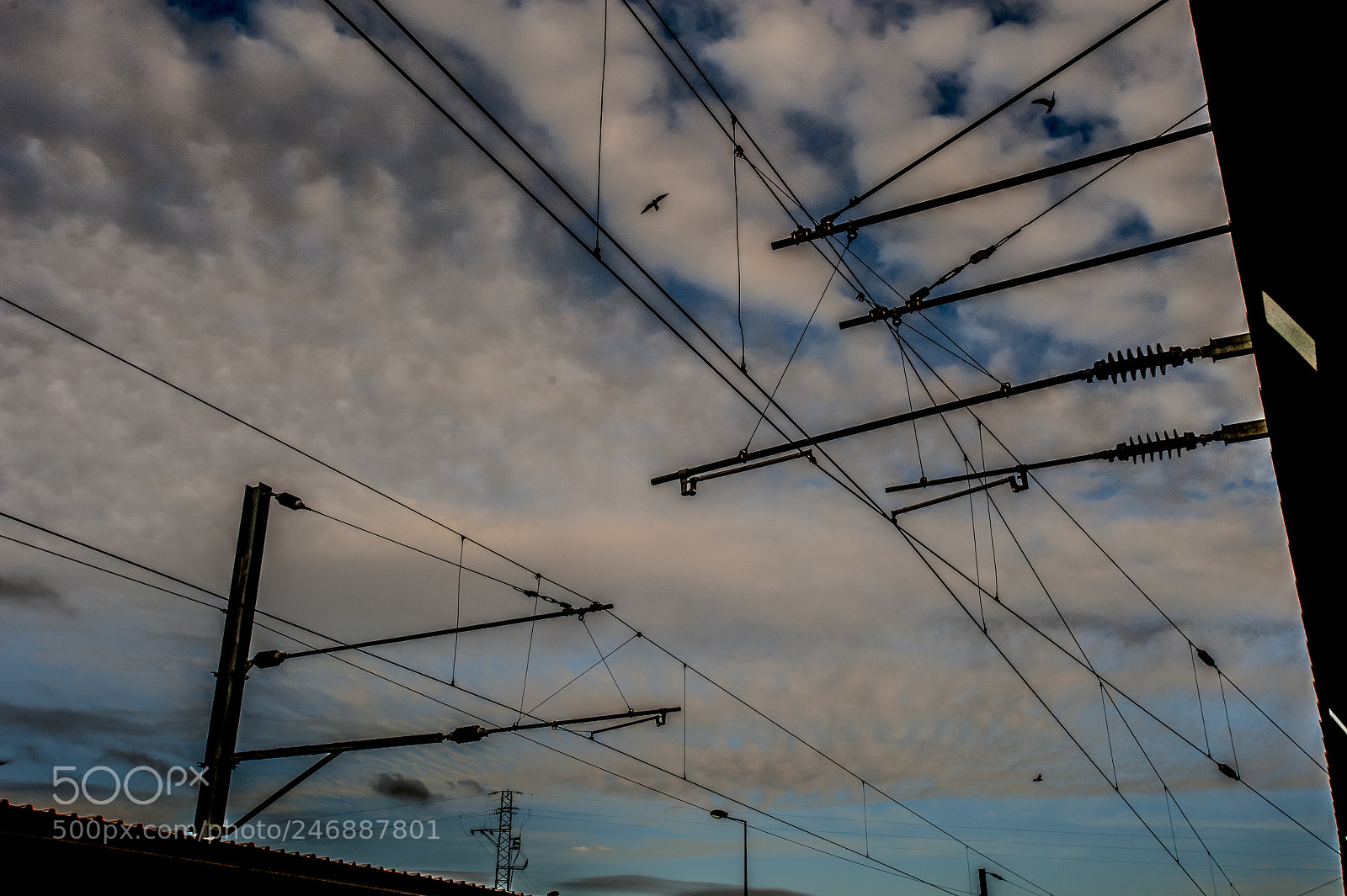 Nikon D700 sample photo. Imaginarynetwork photography