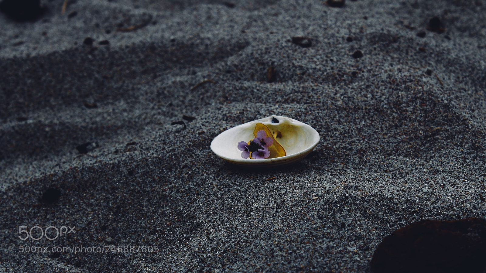 Canon EOS 1300D (EOS Rebel T6 / EOS Kiss X80) sample photo. Flower in the shell. photography