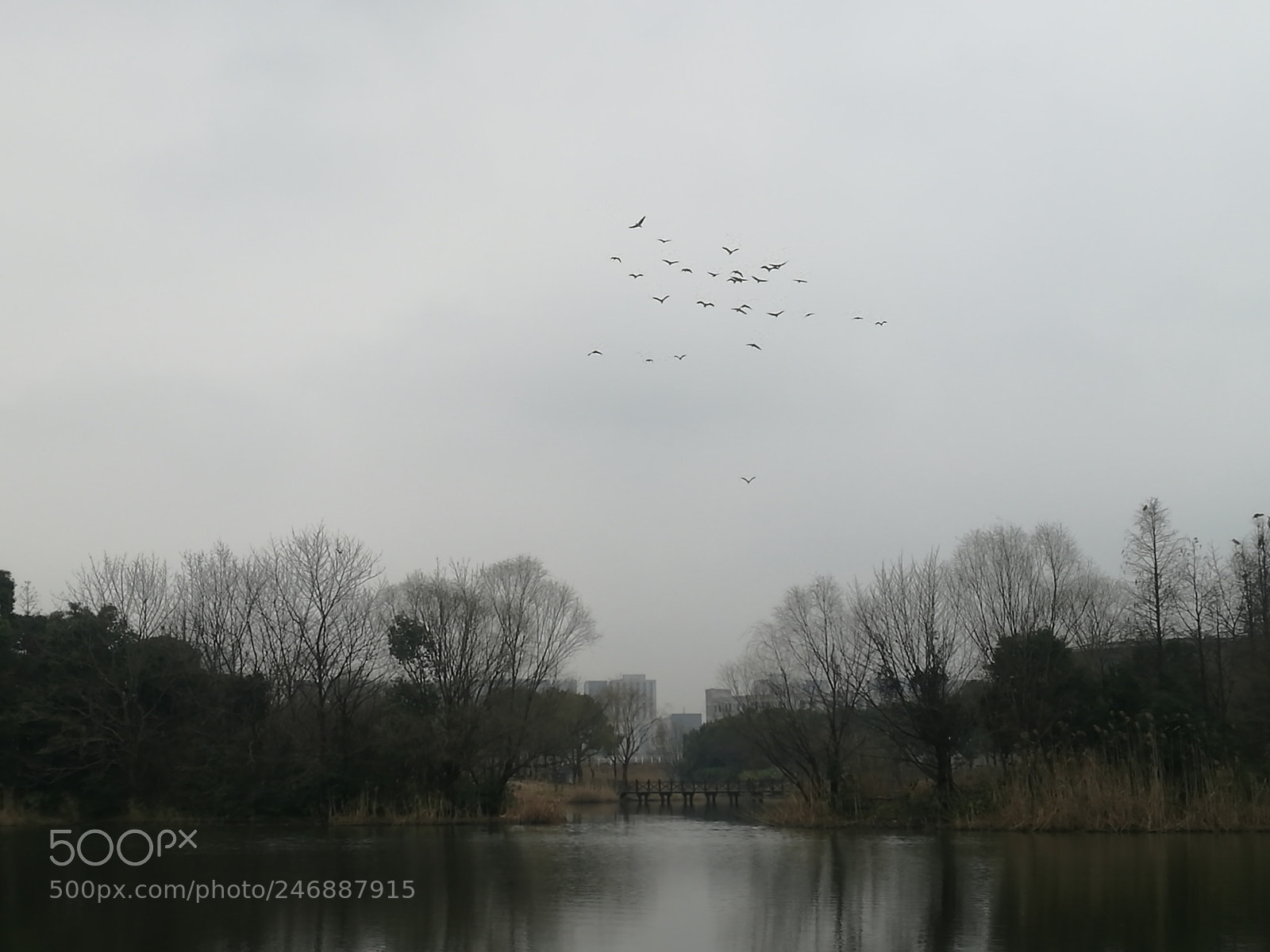 HUAWEI Mate 8 sample photo. Untitled photography