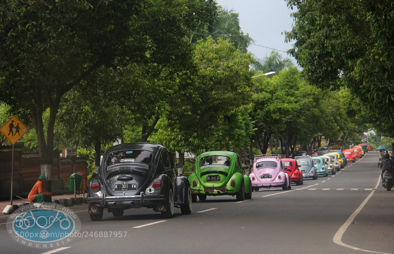 Canon EF-S 18-200mm F3.5-5.6 IS sample photo. Kodok photography