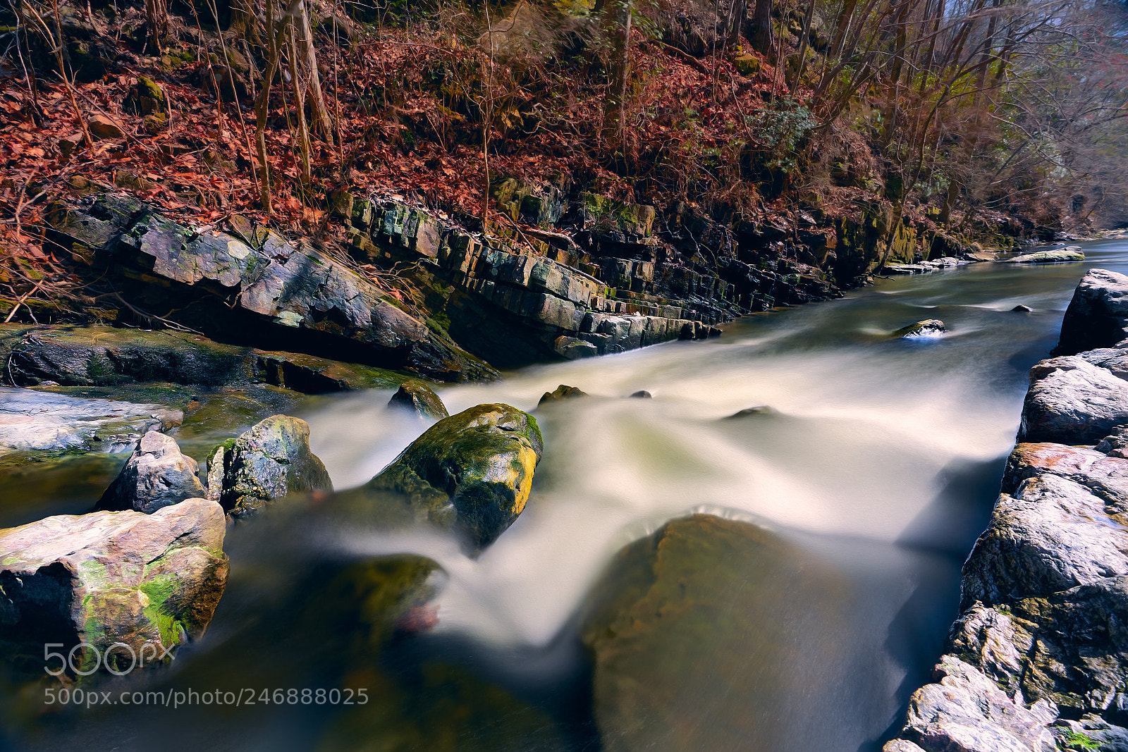 Sony a7R II sample photo. Chelsea creek photography