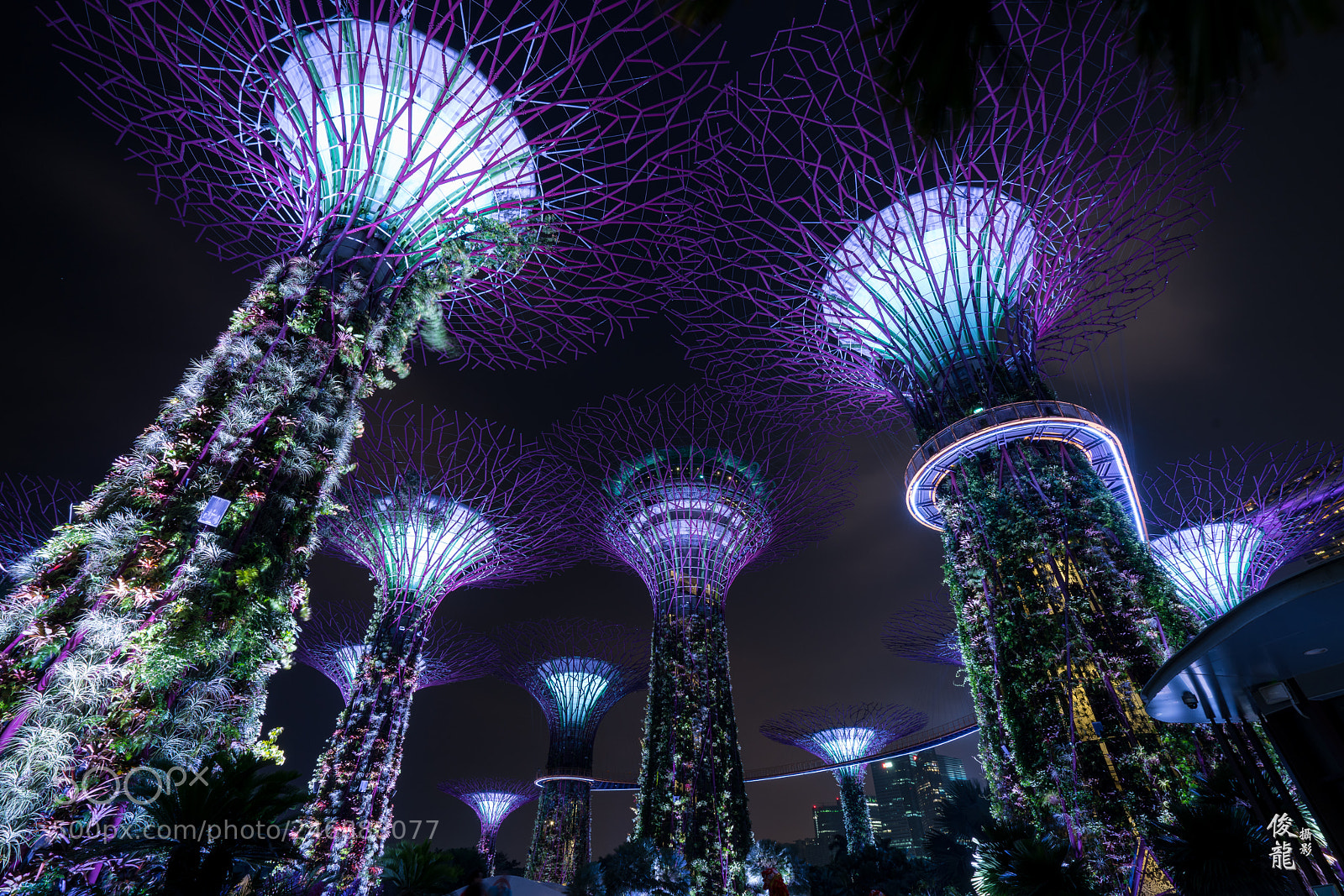 Sony a7R II sample photo. Cyberpunk trees photography