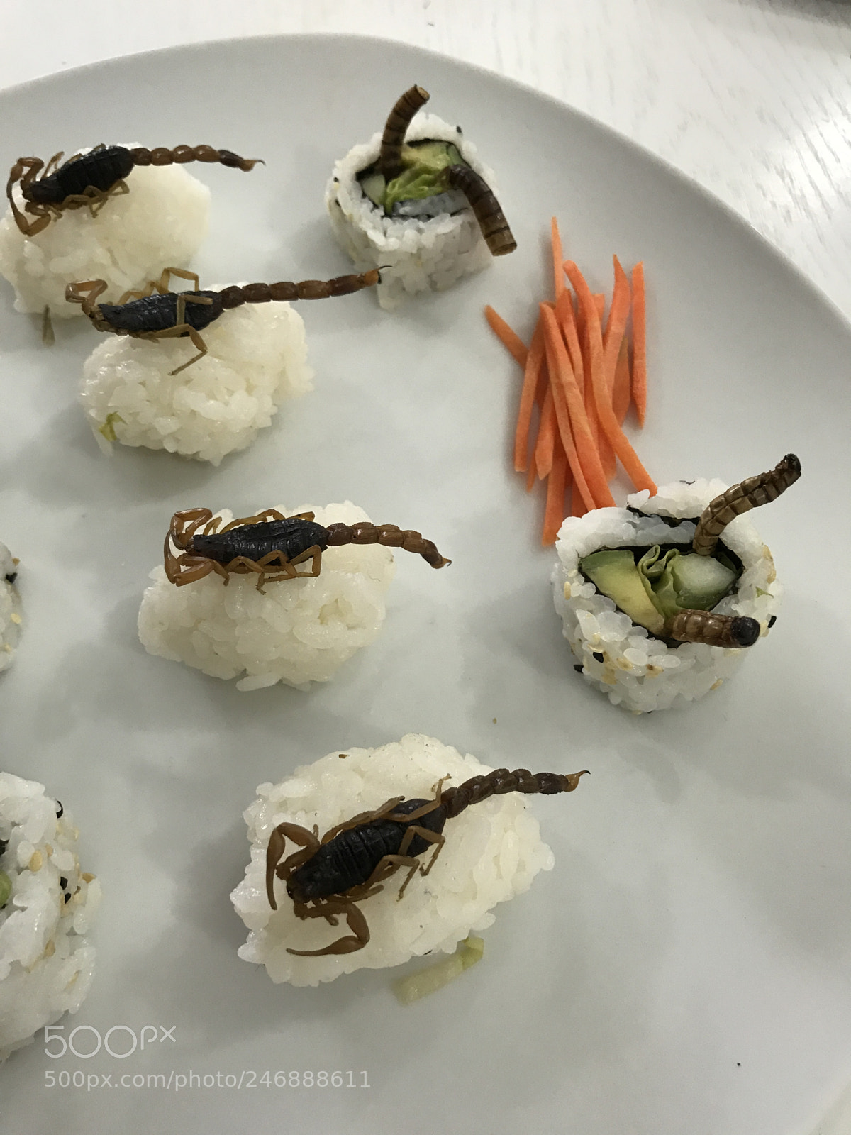 Apple iPhone 7 sample photo. Sushi! photography